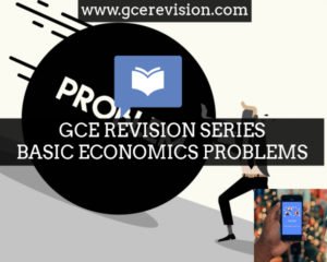 Basic economics problems , What to produce, How to produce and where to produce:, When to produce, For whom to produce: