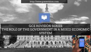 role of government in mixed economic system
