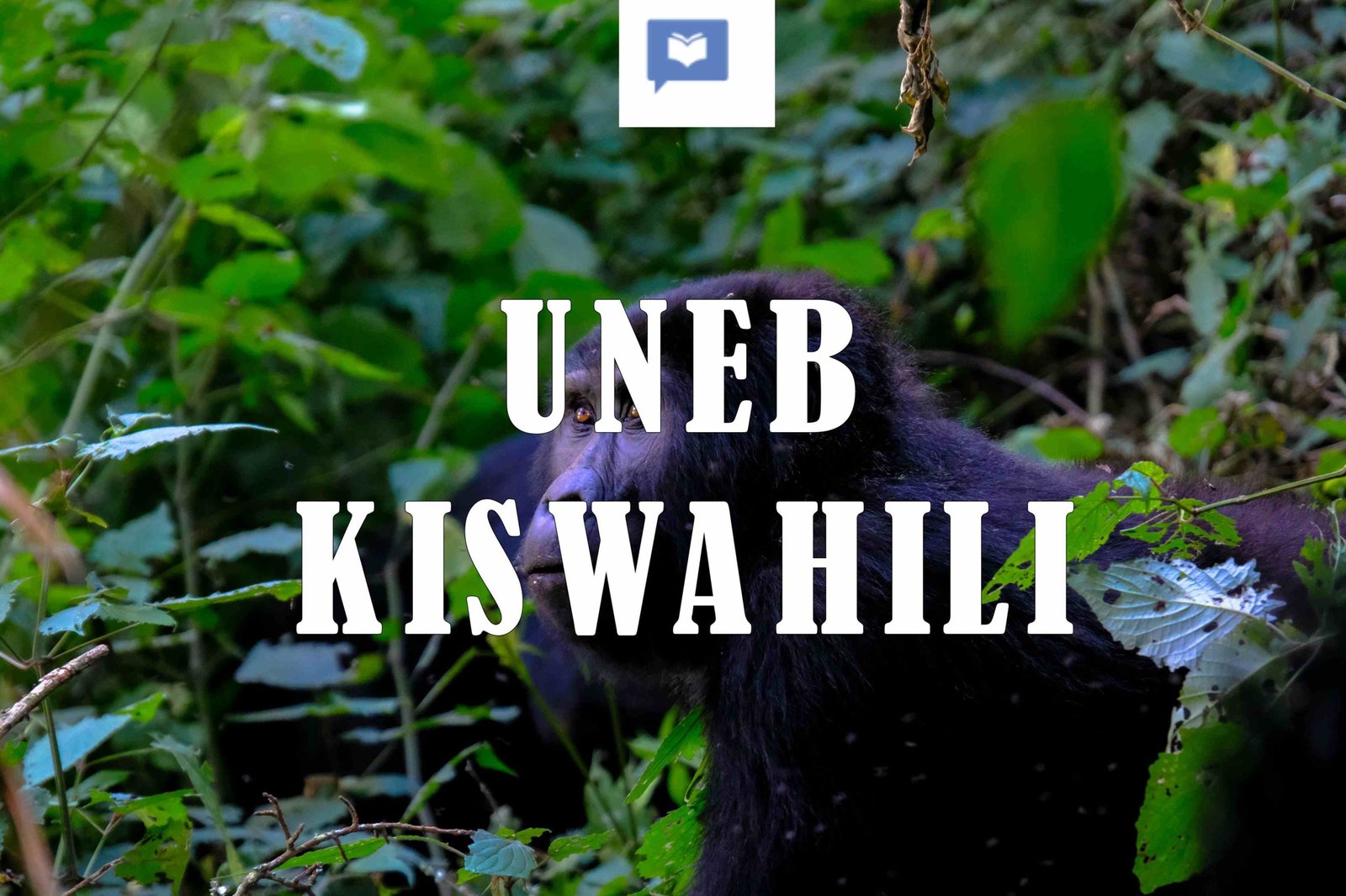 Example image
