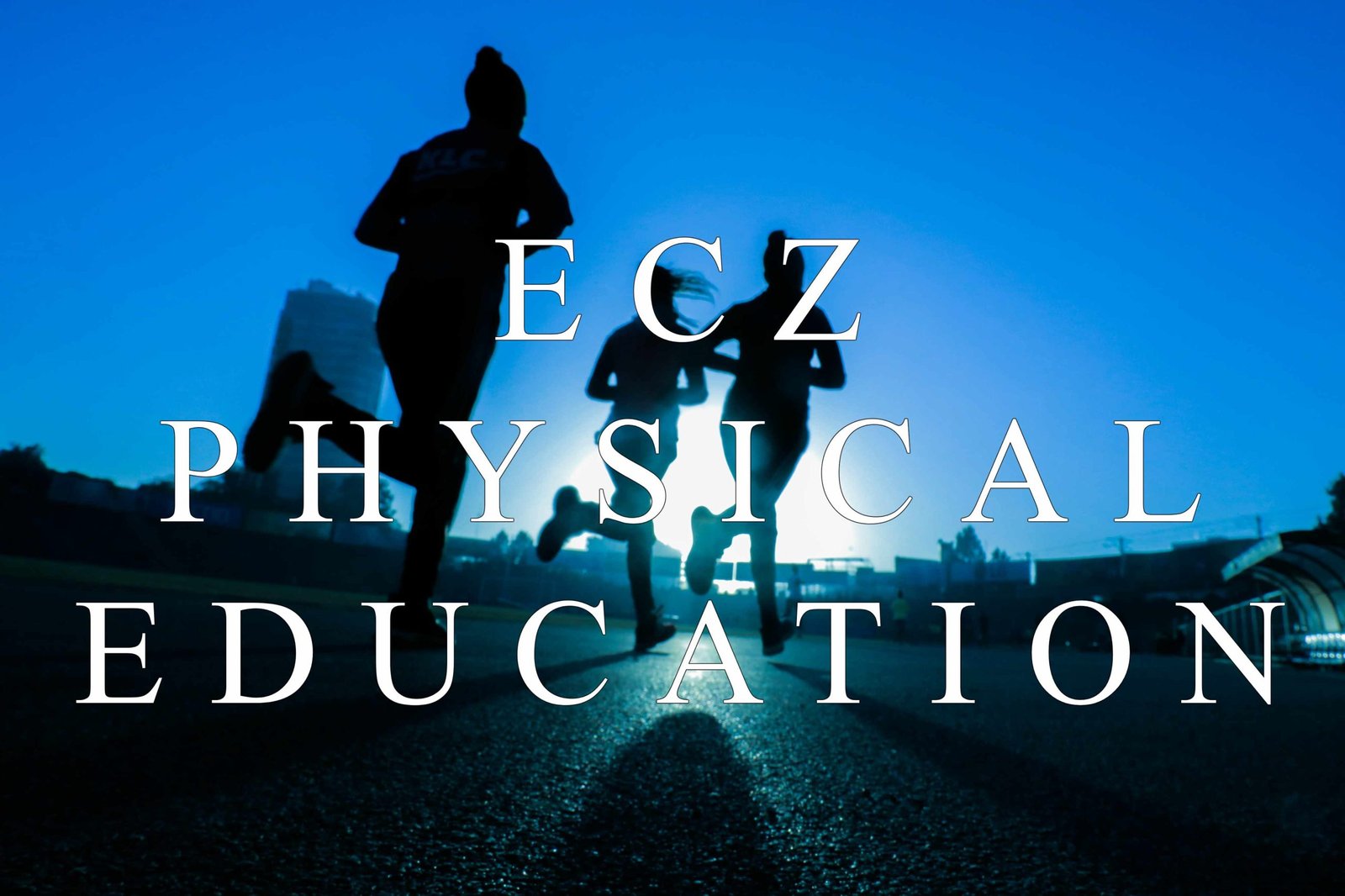 Ecz Physical Education Grade 12 Paper 1 2016 Specimen 