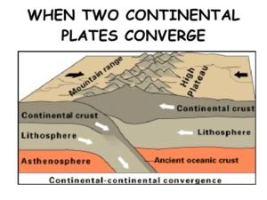 fold mountain due to meeting of two continental plate