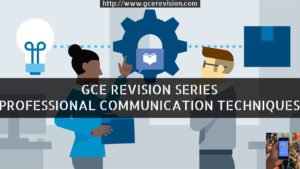professional communication techniques