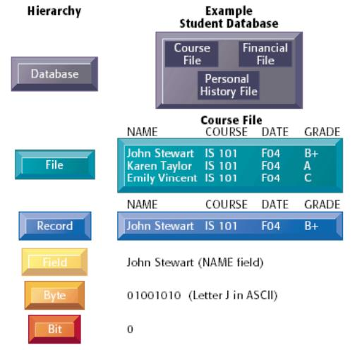 The data hierarchy, from bit and byte up to file and database, illustrated with a student database example