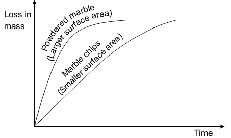 Graph of loss in mass against time for powdered marble (larger surface area) versus marble chips (smaller surface area)