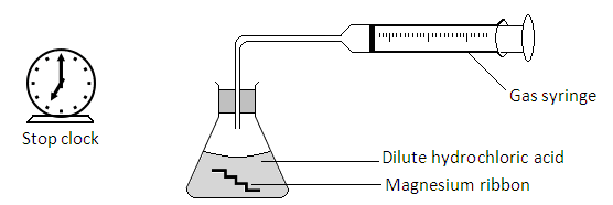 Apparatus for reacting magnesium ribbon with dilute hydrochloric acid in a conical flask connected to a gas syringe, with a stop clock